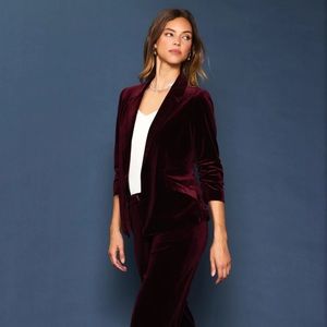 Burgundy Velvet Revolver vibes blazer M skies are blue NWT